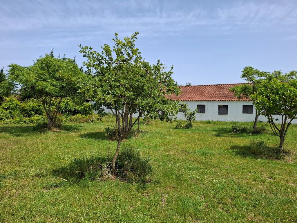 La ferme biologique de Caria, près des spots de surf de la Côte d'Argent