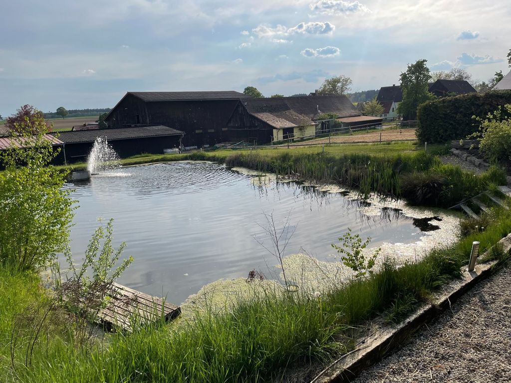 Wiese mit wundervollem Ausblick und Schwimmteich