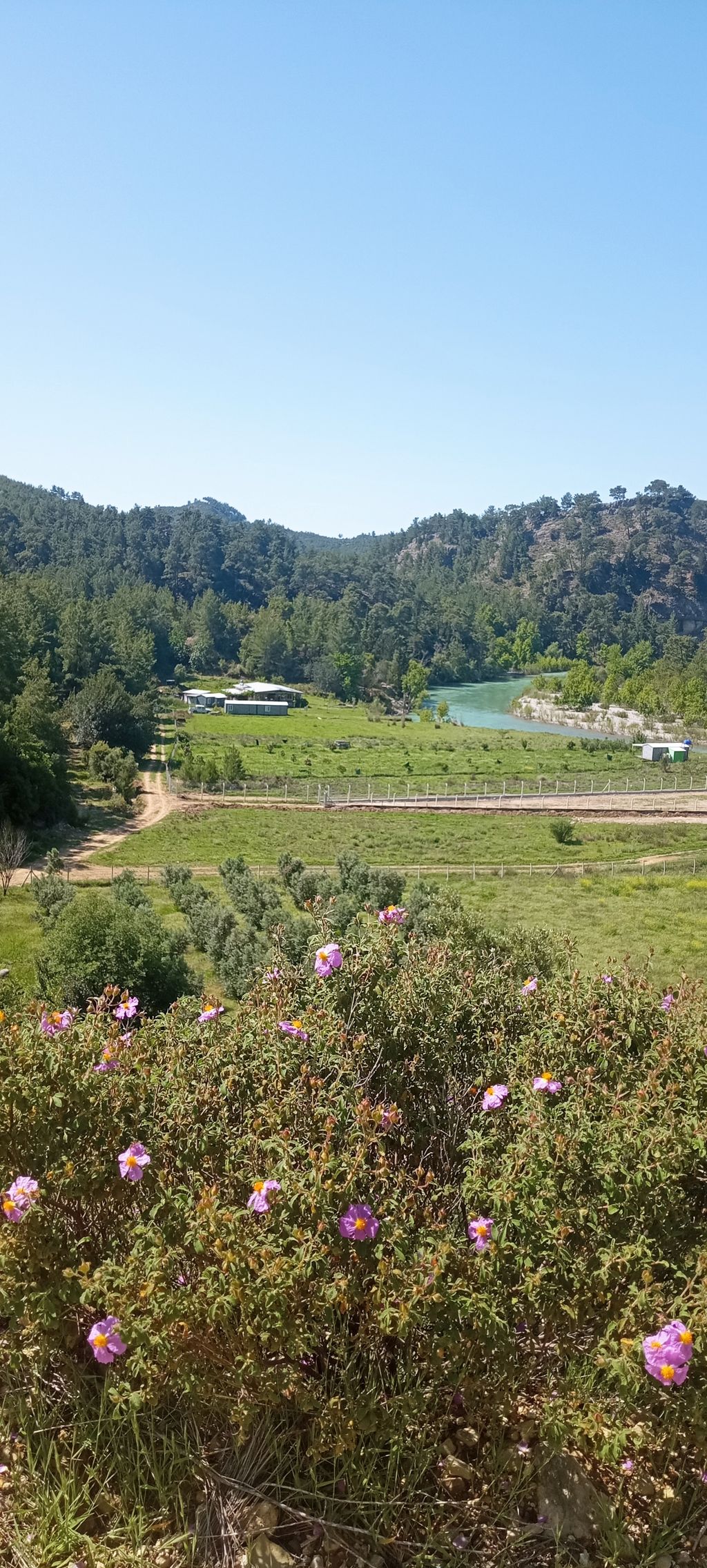 Pitch in the nature reserve - Köprülü Canyon