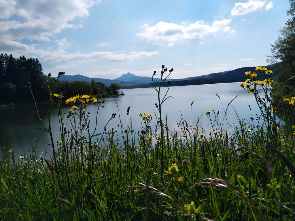 Komfortables Tiny Chalet im schönen Oberallgäu