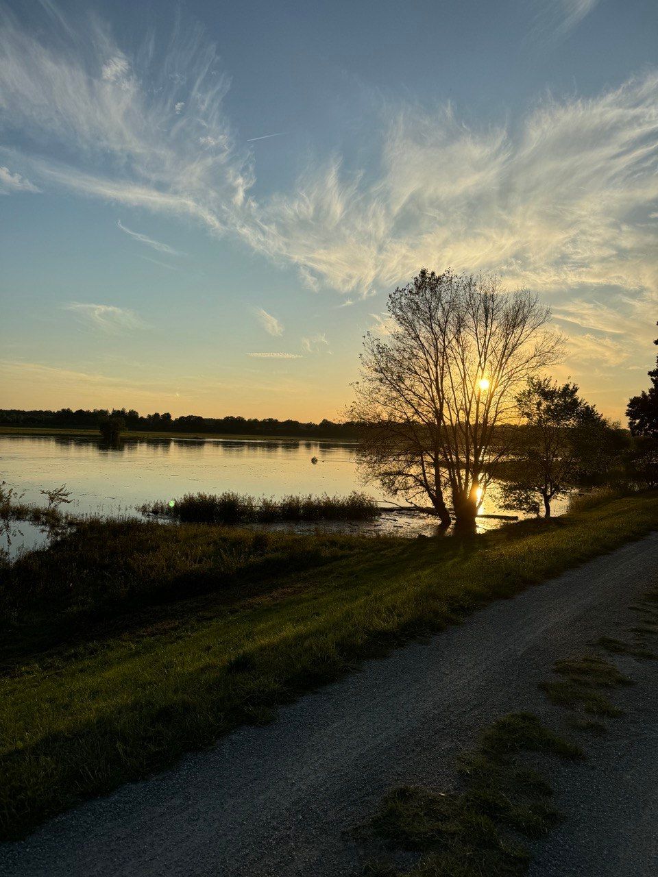 Une campagne calme et idyllique au bord de la digue de l'Elbe