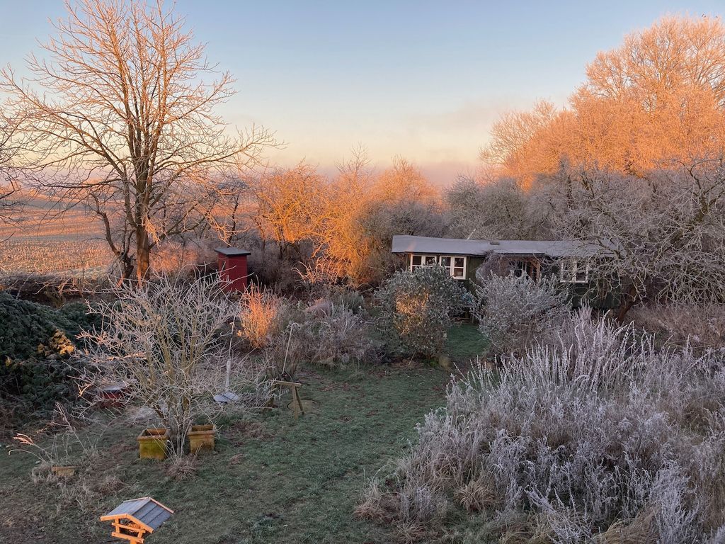 Casa minuscola nel giardino naturale