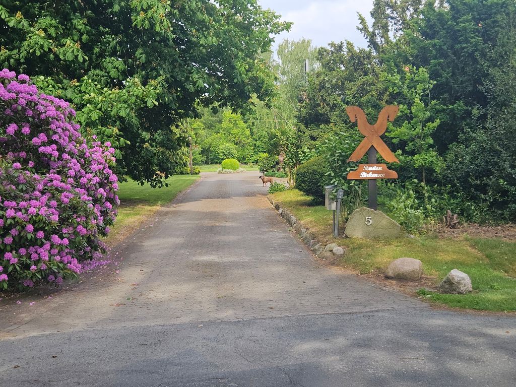 Idyllischer Stellplatz am Birkensee Lünebg. Heide