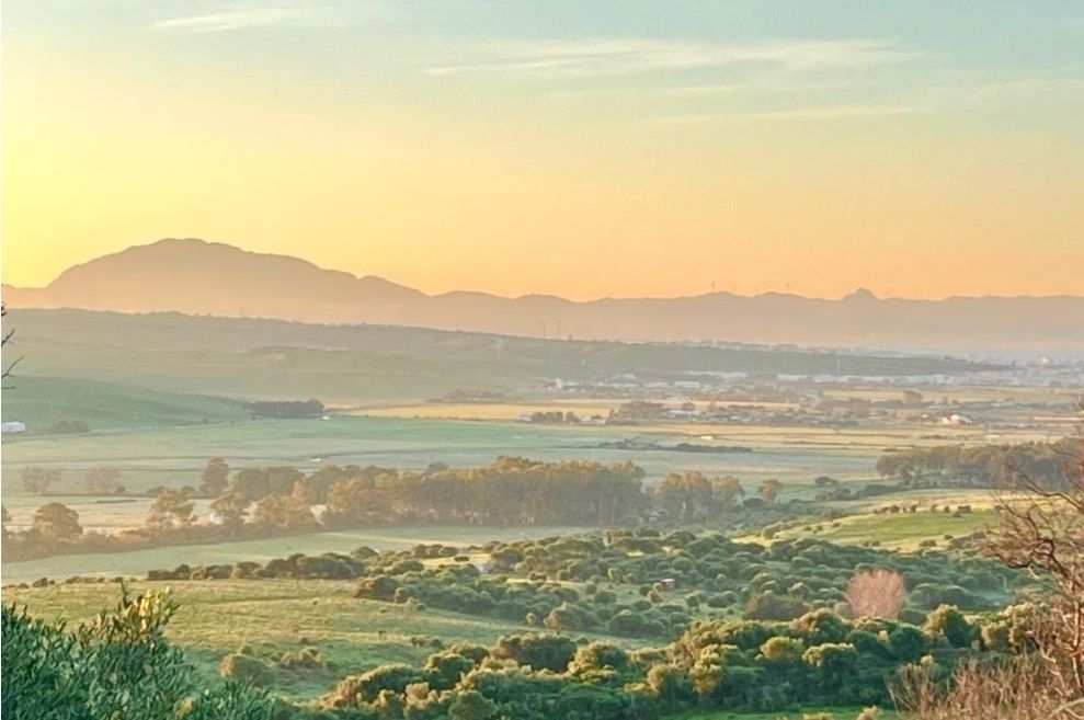 Privater Garten mit Meerblick.