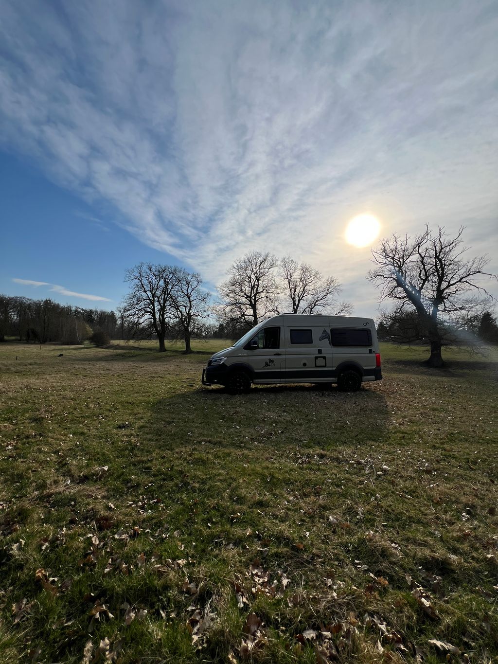 For purists – a nature experience among horses and cattle 