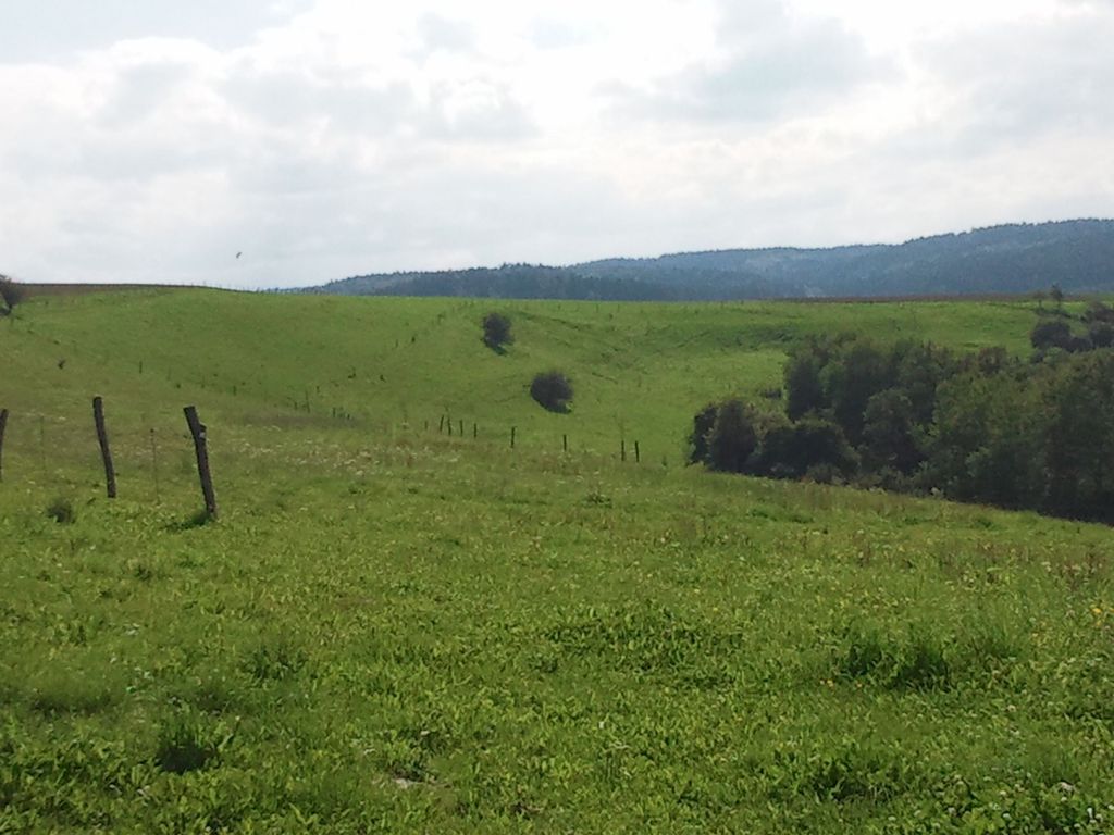 Meadow pitches on organic farm
