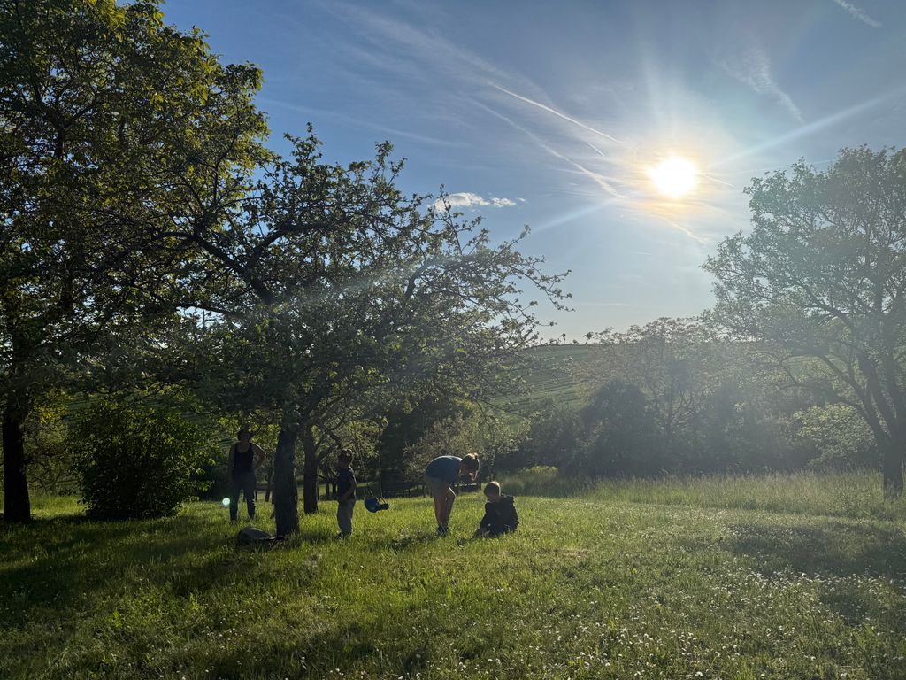Idyllic spot by a meadow orchard