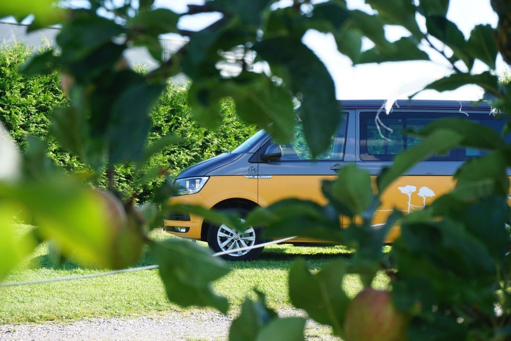 Camping con vistas al lago Constanza manzanos