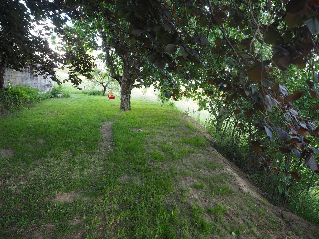Ruhiges Panorama-Campen: Zeltwiese bei Görwihl