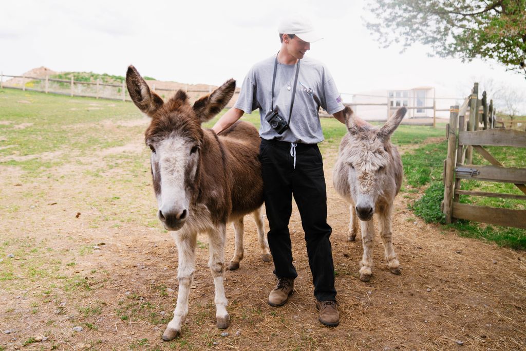 Acampada junto al prado de las alpacas y los burros