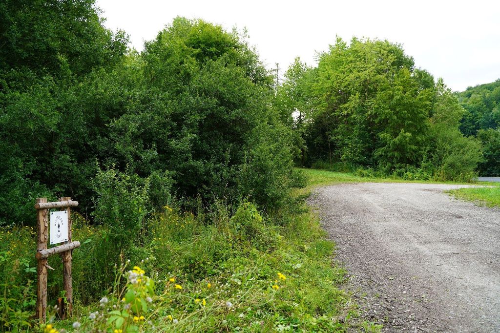 Ruhiger Wanderparkplatz nahe dem "Grünen Band"
