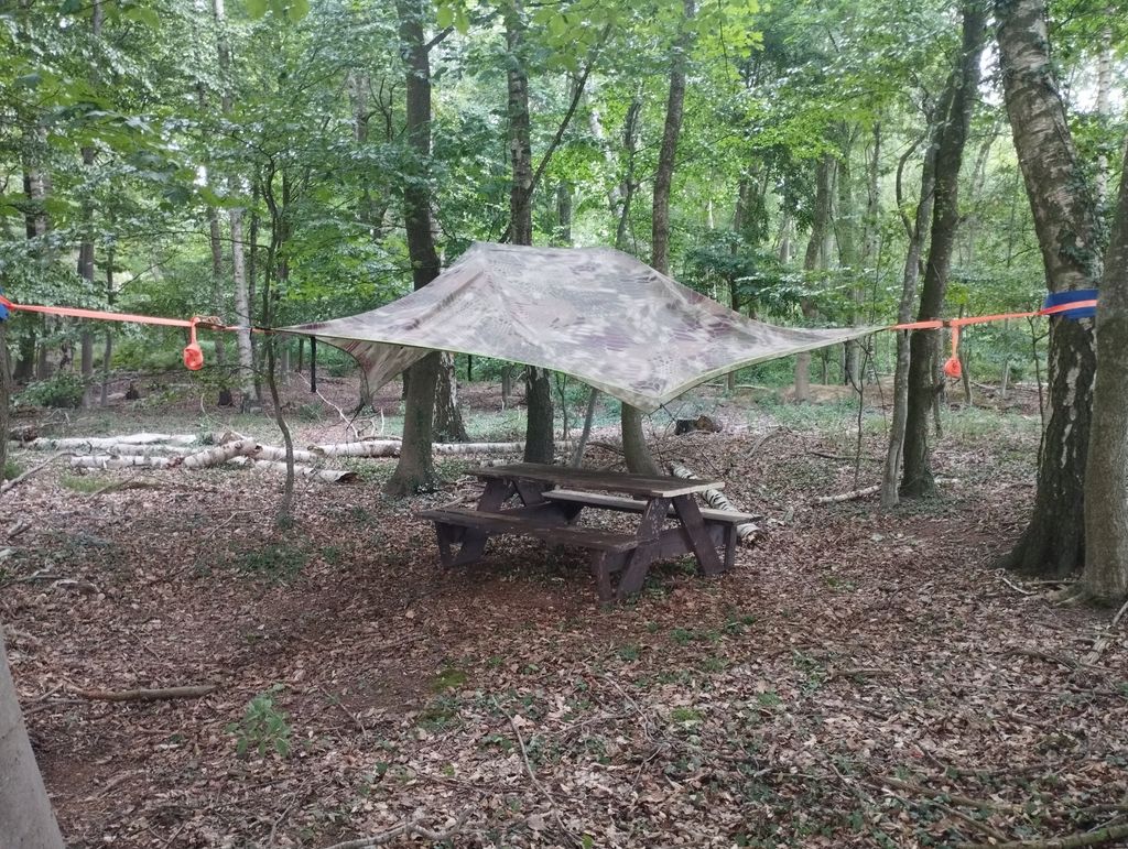 Im Baumzelt das Blätterdach bestaunen
