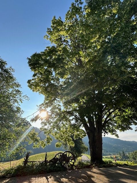 Landliebe Heiligenberg in der Bodenseeregion