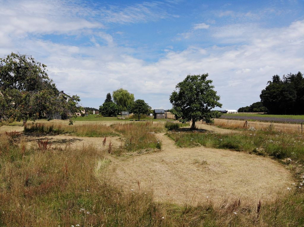 Camping en la naturaleza entre bosque, cascadas y cultura