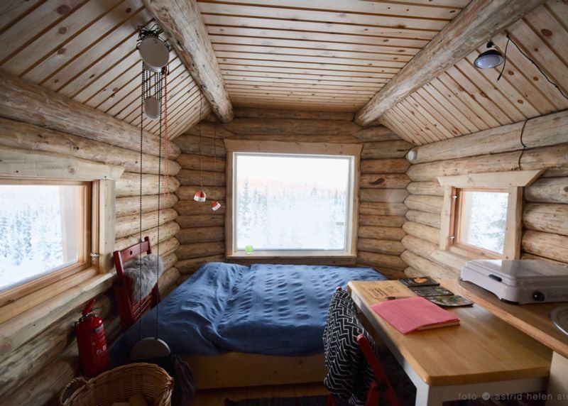 rustic log cabin "Mad Muskox" - border to wilderness