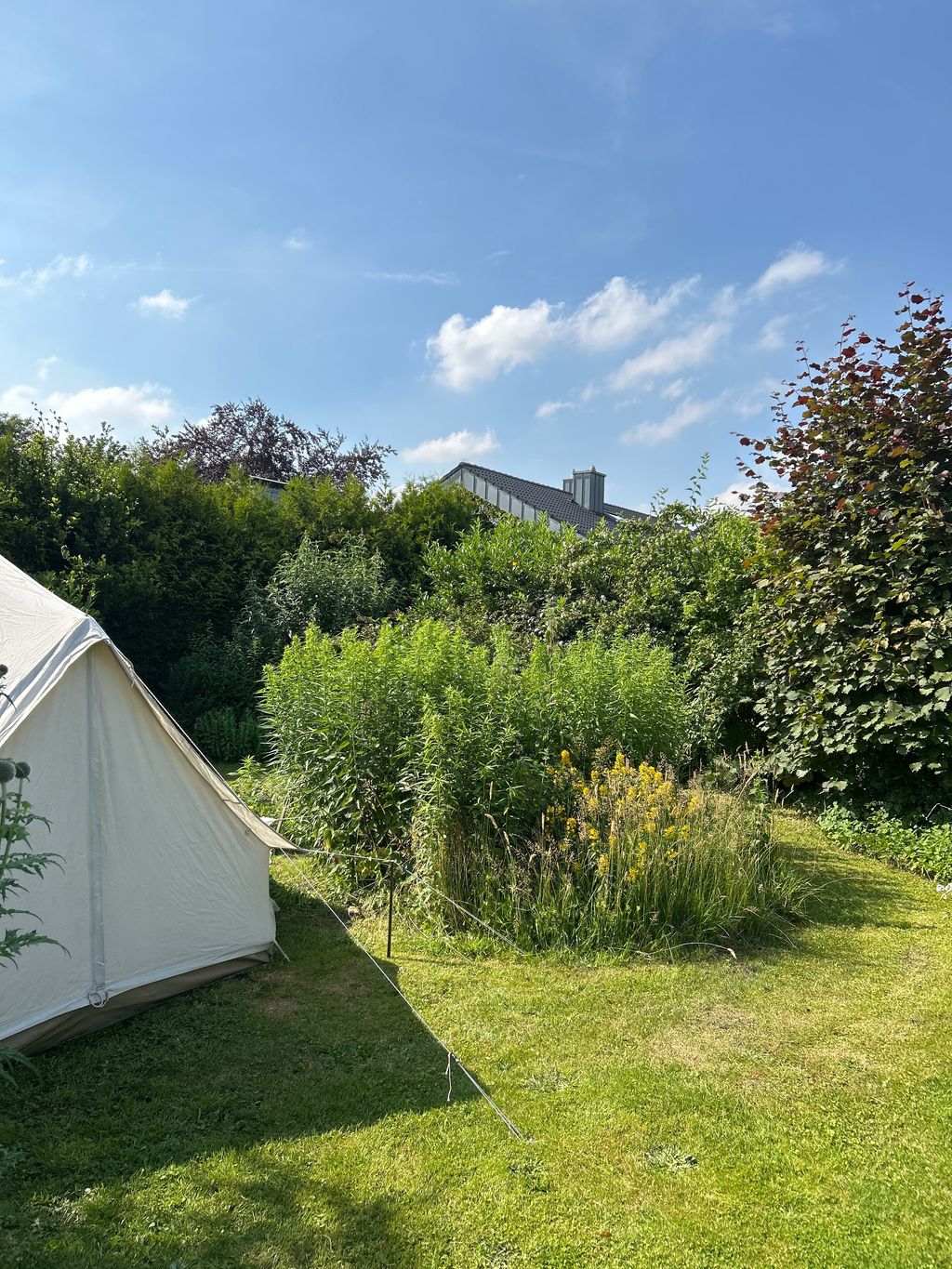 Glamping in the Garden in Quakenbrück's Old Town