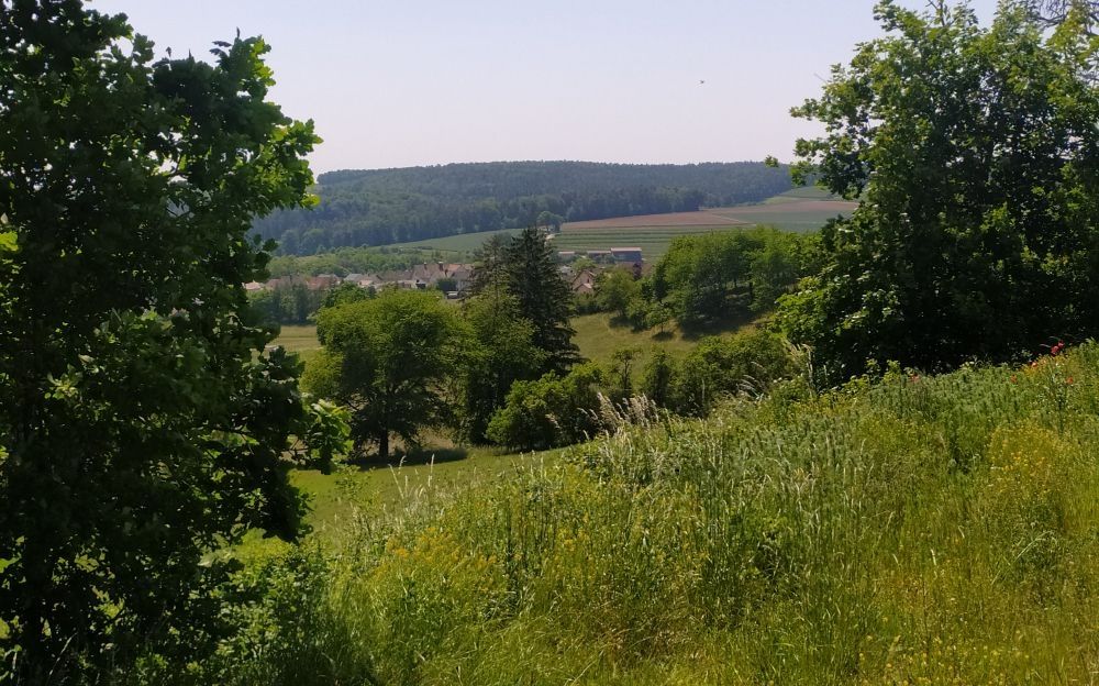 South exposure on the edge of a settler's farm