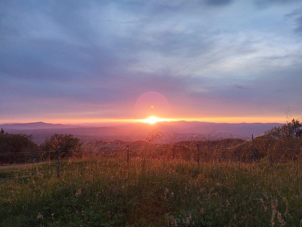 Un site panoramique entre la Maremme et le Val d'Orcia