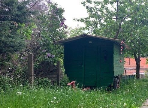 Small shepherd car in the garden surrounded by trees
