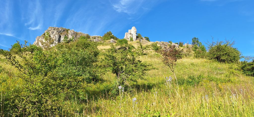 Il mio giardino nella Svizzera francese per voi