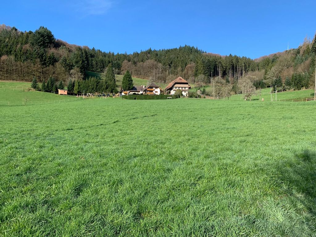 Schäferwagenromantik am Bächle & Reitplatz