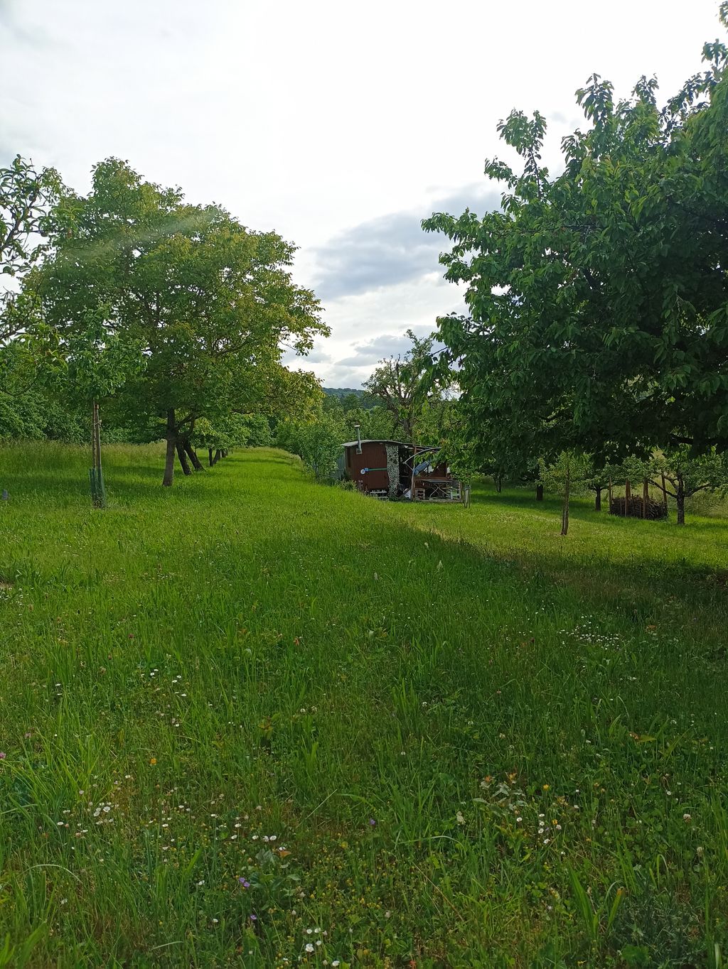 Zabergäu-Camping: Natur, Wiesen & Sternenhimmel