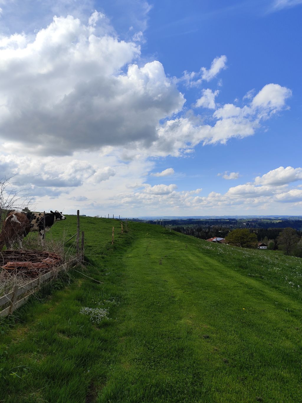 Geheimtipp mit wunderschöner Aussicht im Allgäu 