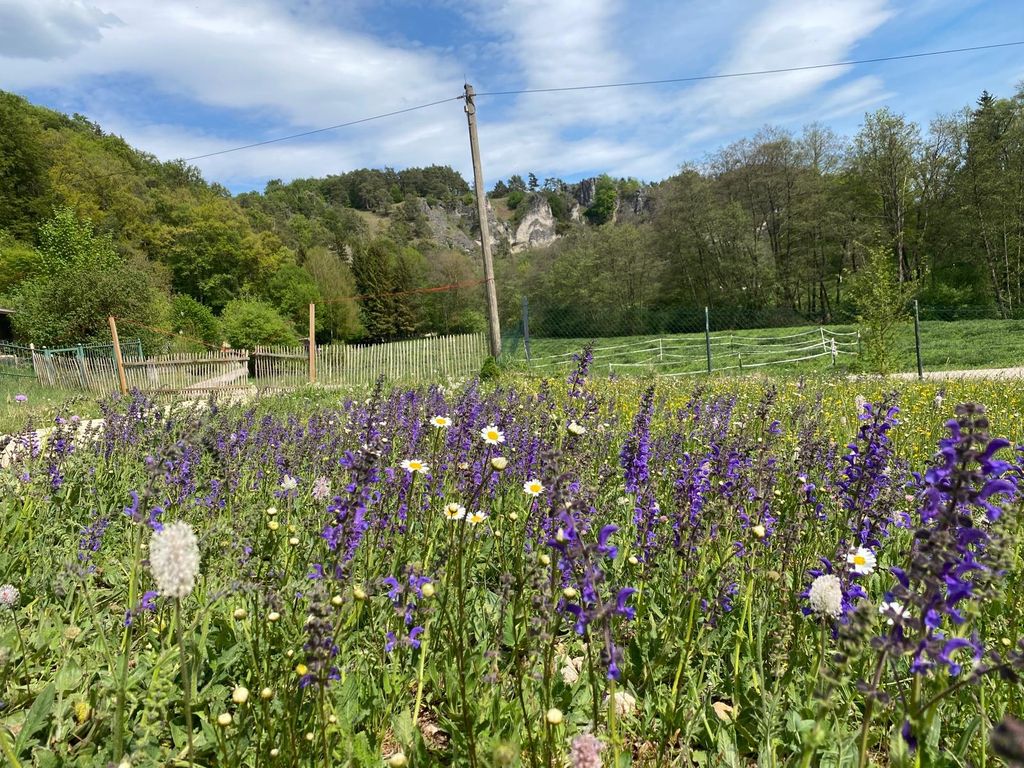 Camping im Tal der Schwarzen Laaber 