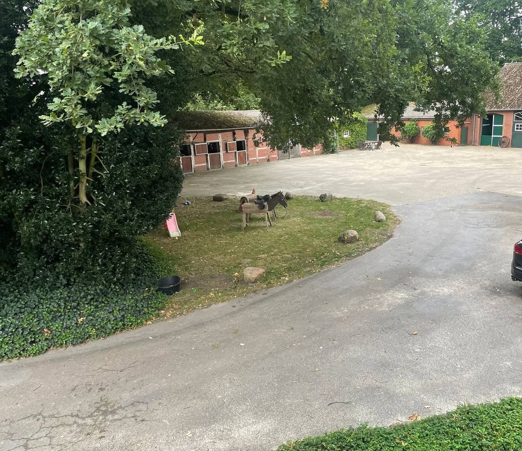 Camp au milieu des animaux & de la nature dans l'Emsland