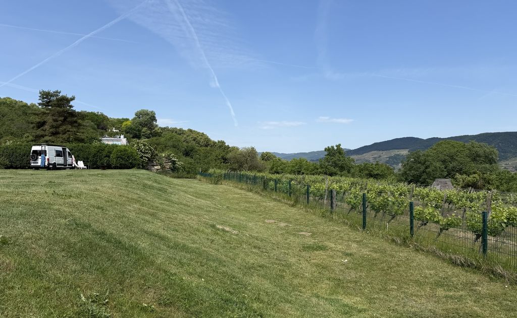 Blick über die Weinberge der Wachau