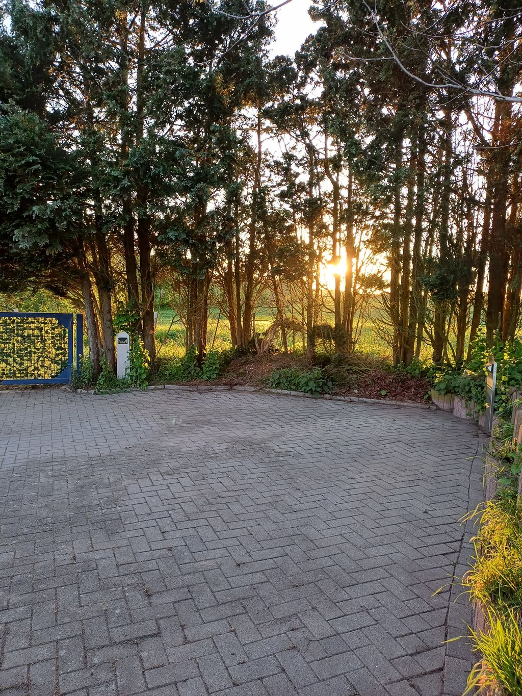 Naturnaher Stellplatz in der Nähe der Schlei