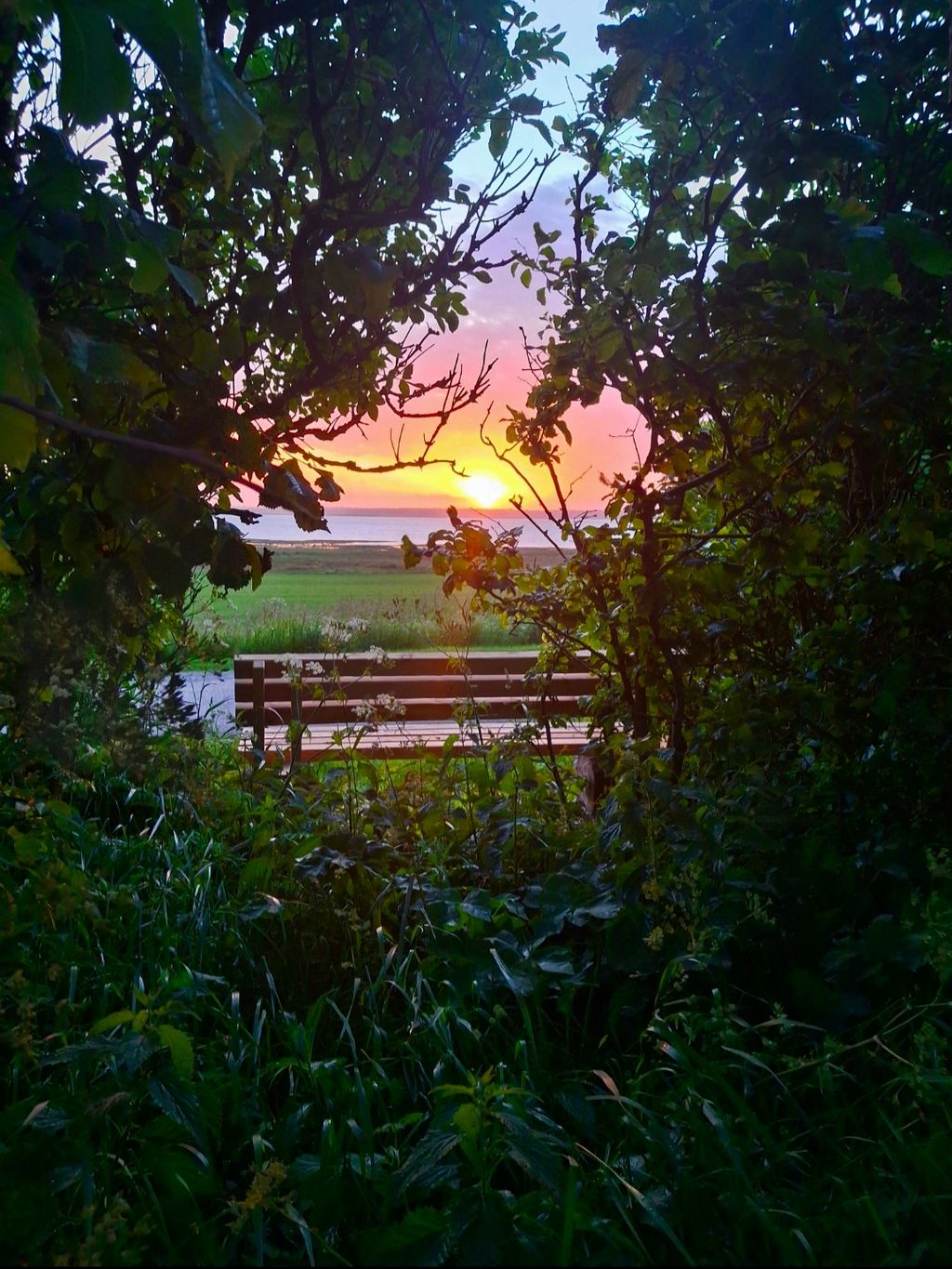 "Sonnenuntergangsgenießerbank"