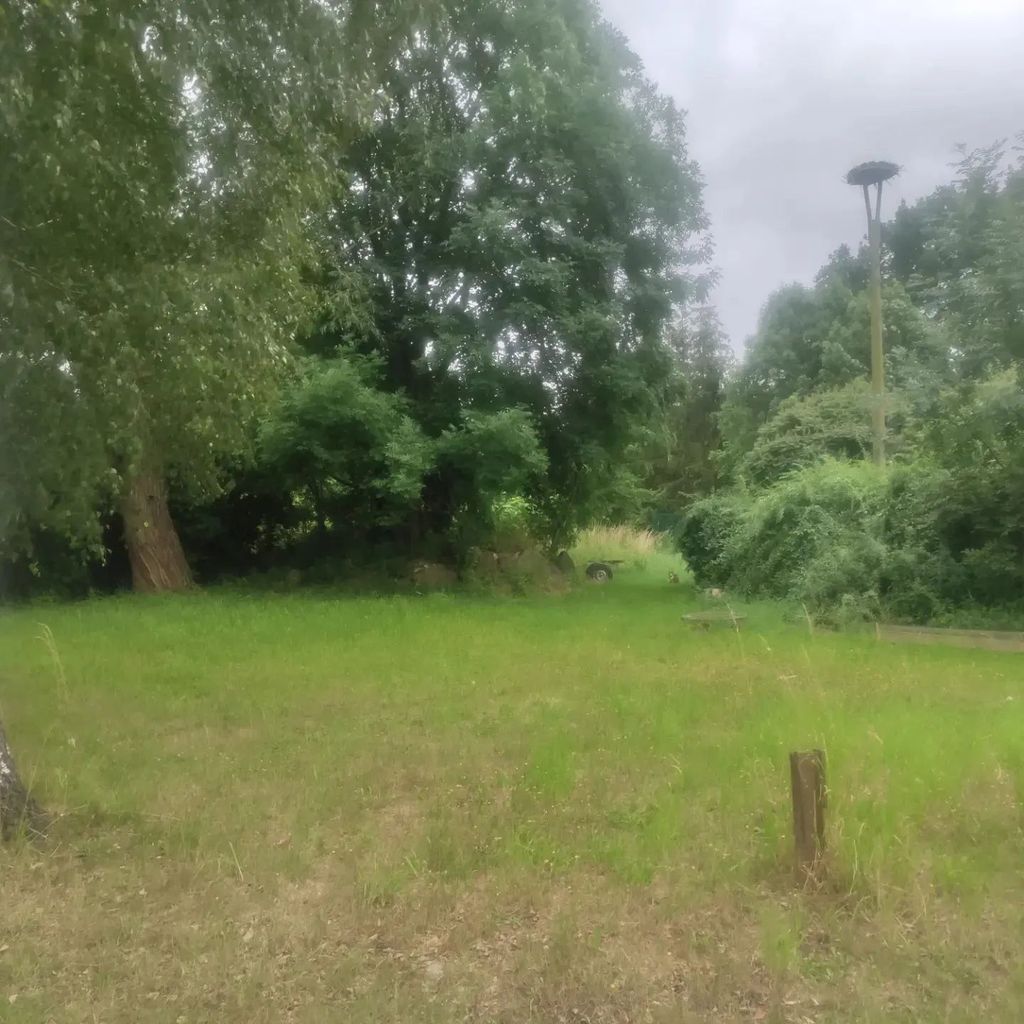 Platz ruhig und dörflich zwischen Ostsee und Peene
