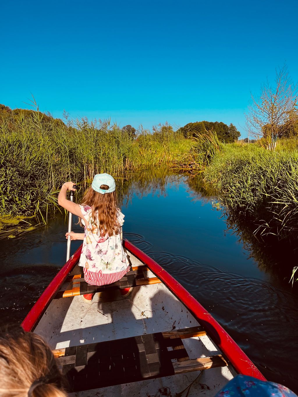 Vacaciones en una preciosa caravana de circo cerca de Wendland