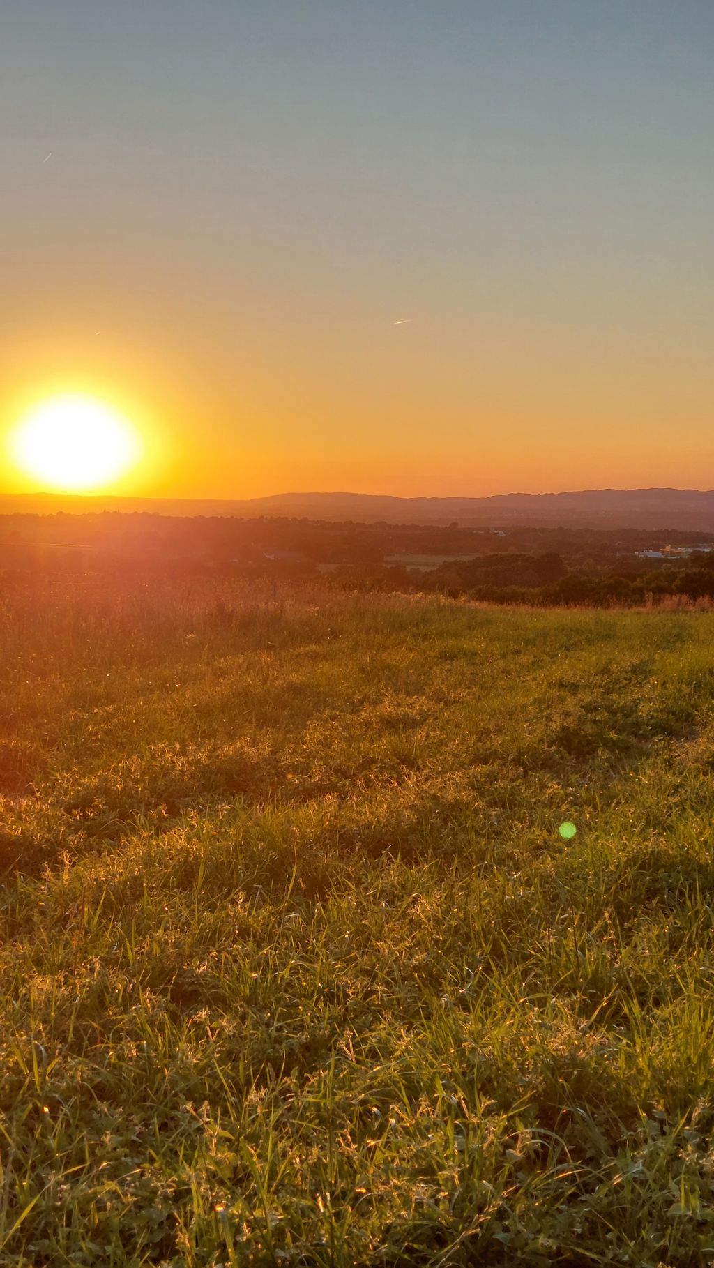 Posti in prima fila per lo spettacolo quotidiano della natura