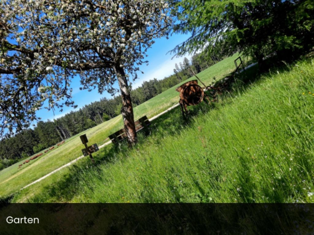 Obstbaumgarten hinterm Haus im Fichtelgebirge
