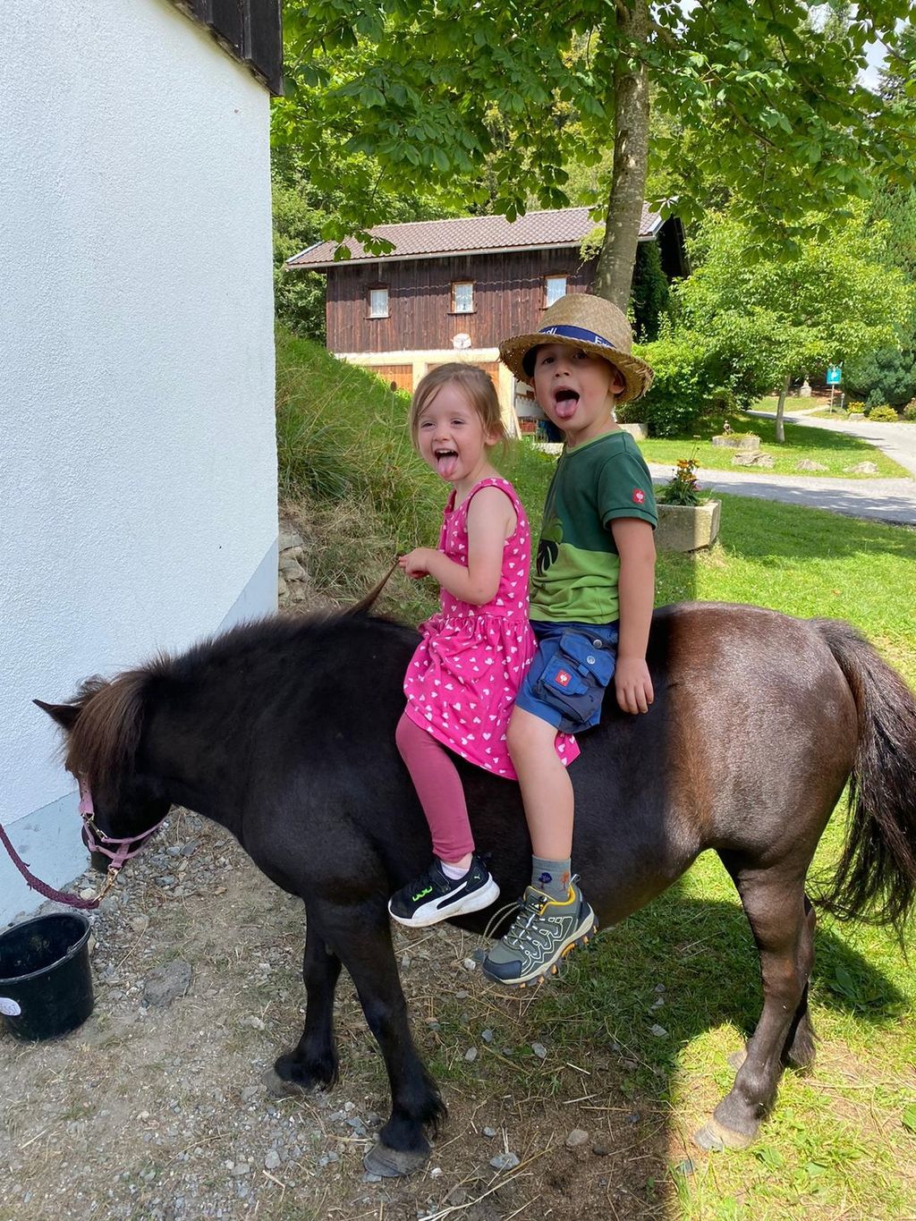Camping idyllique à la ferme près du Daxberg