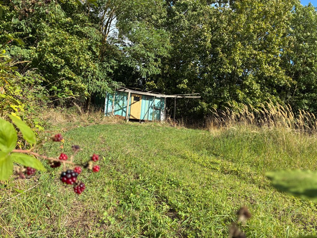 Garten eines Landguts mit alten Obstbäumen