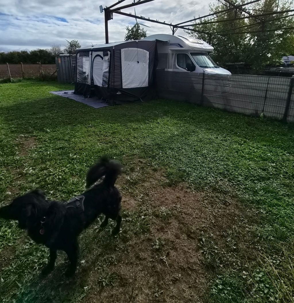 Natur, Ruhe & große eingezäunte Hundewiese