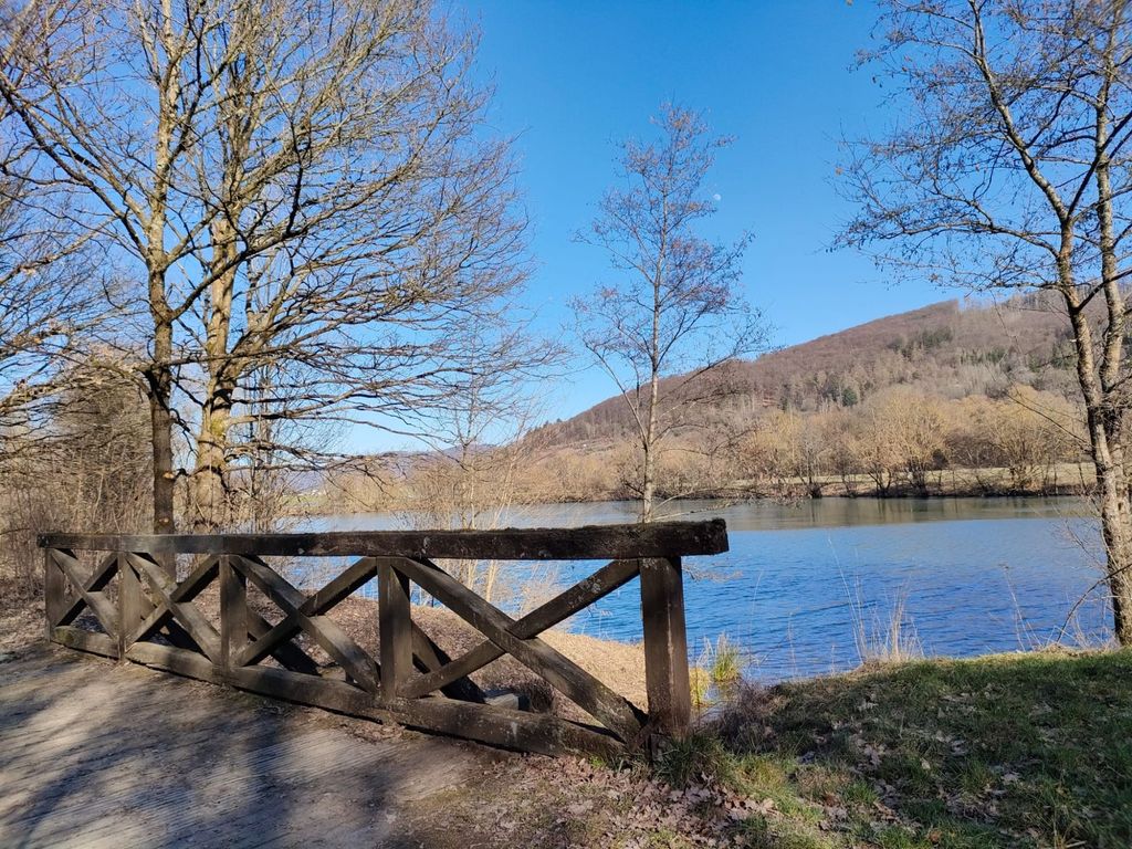 Schwanennest am See in Alleinlage