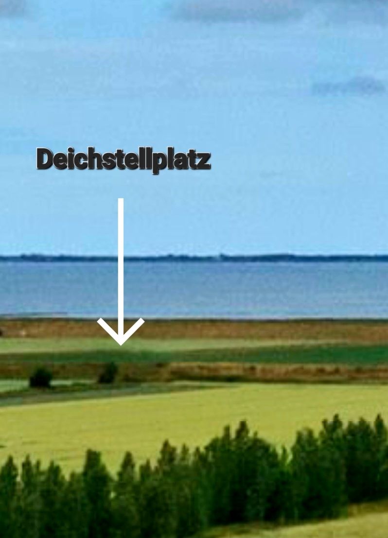 Wind & Weite - naturnah  direkt am Nordseedeich 