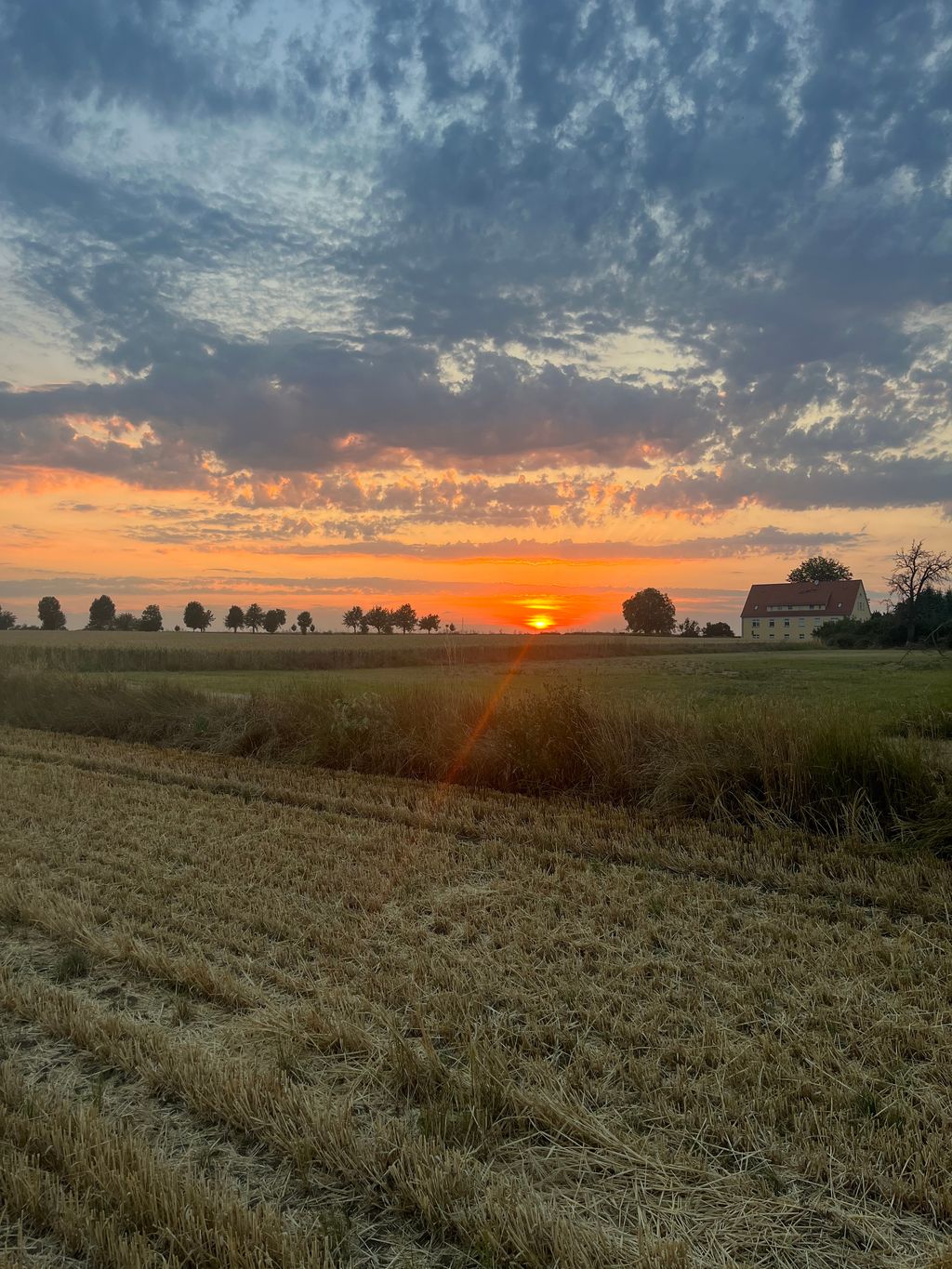 Vista di ampio respiro ai margini del campo, pace, natura e lago