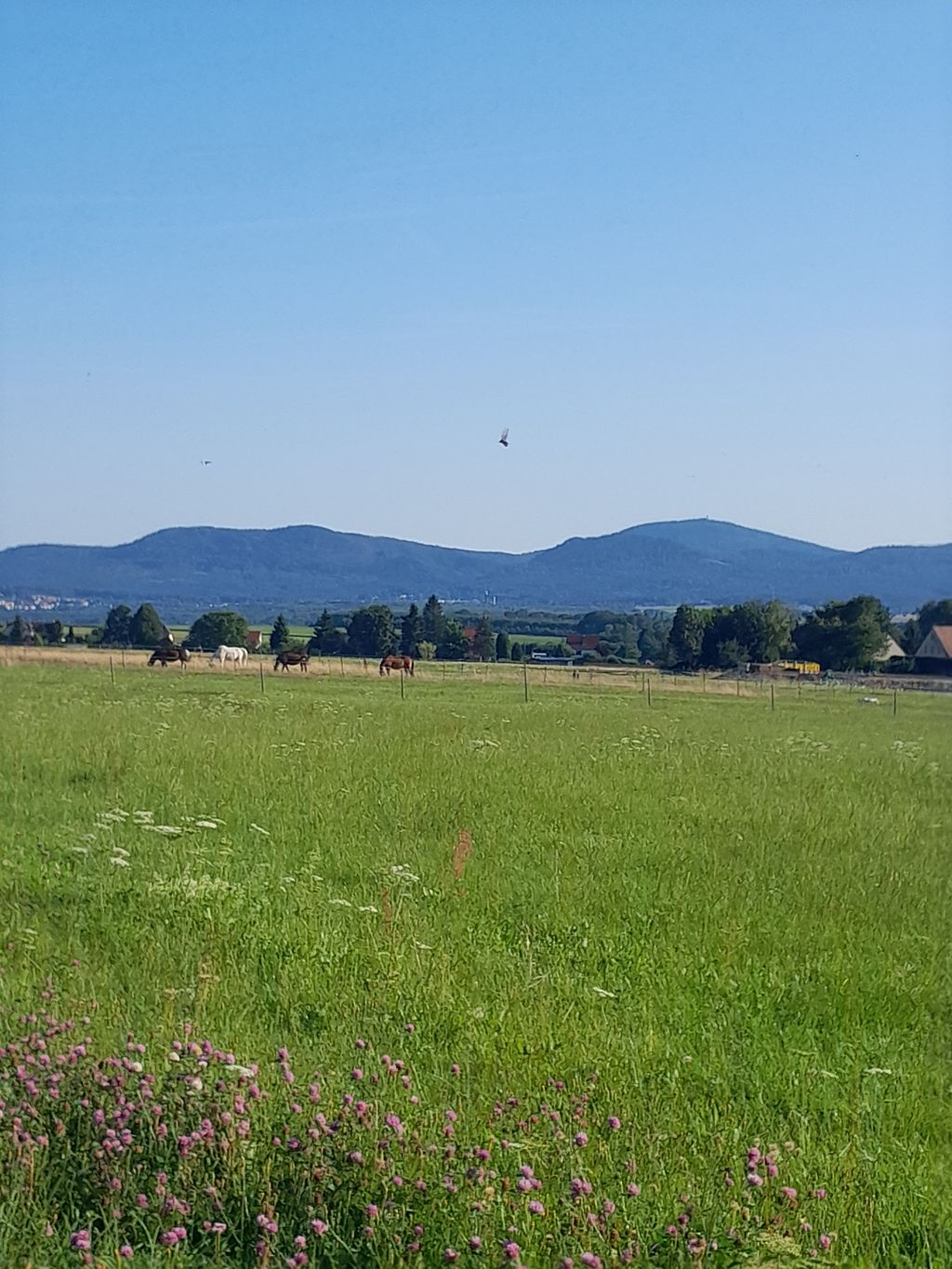 Camping an der Pferdekoppel mit Gebirgsblick
