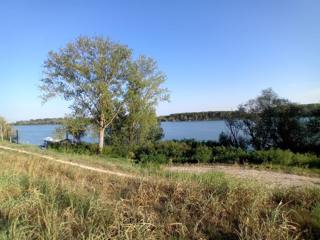 Wiese, Bäume und Natur pur im Po-Delta 