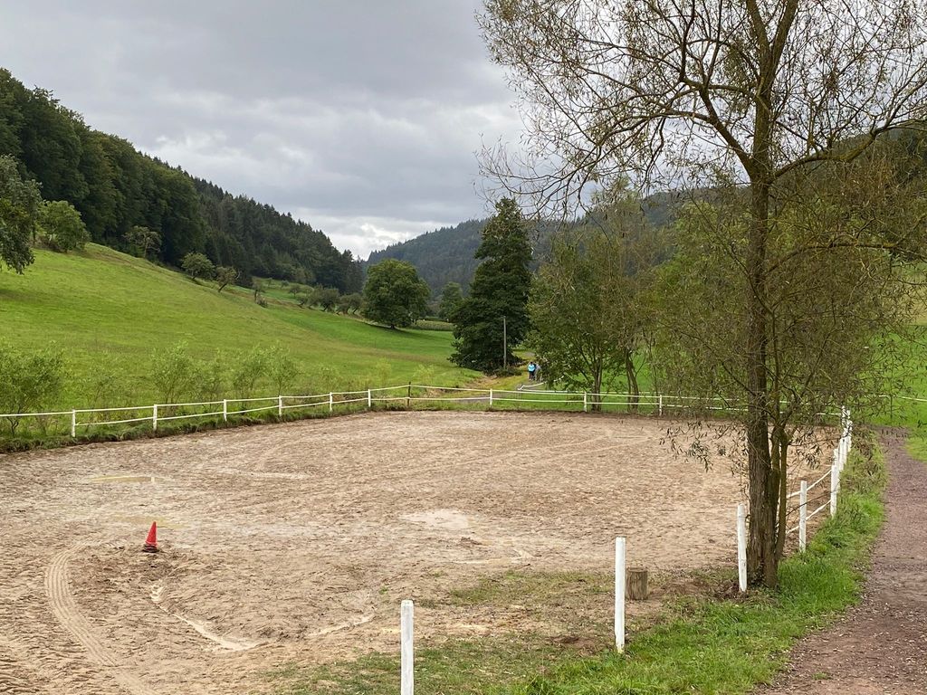 Schäferwagenromantik am Bächle & Reitplatz