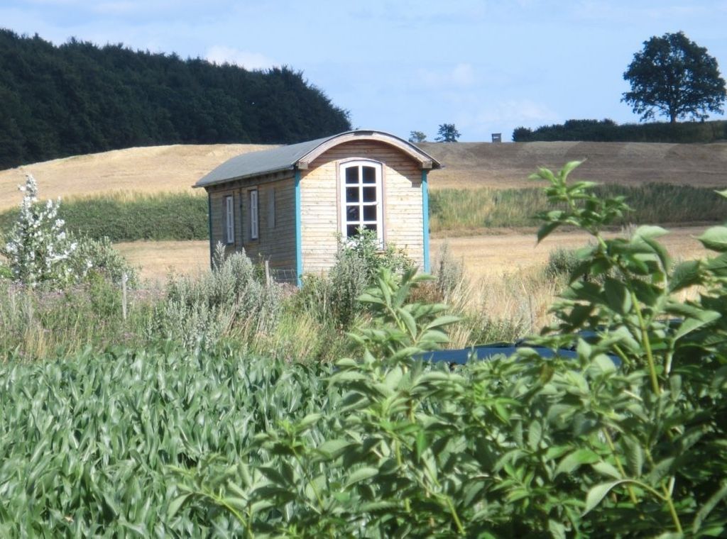 Construction trailer by the sea - within walking distance to the Baltic Sea