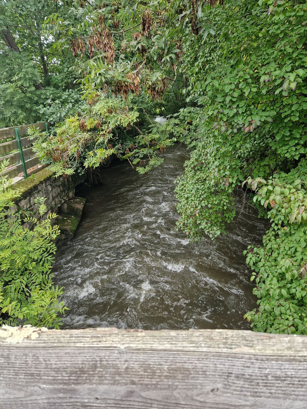 At the old sawmill by the stream