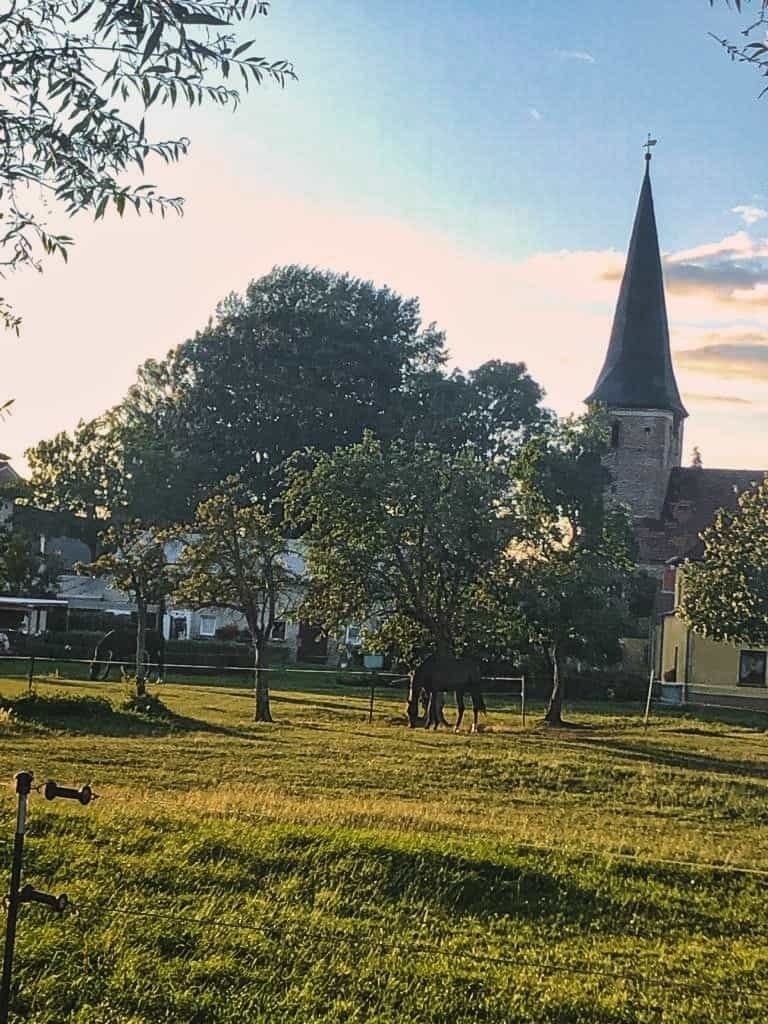 Wiese am Havelacker