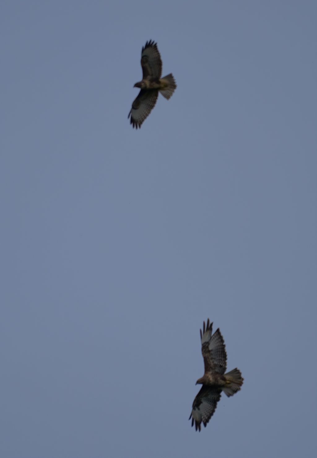 Rest farm in single location only 8 km to the Baltic Sea