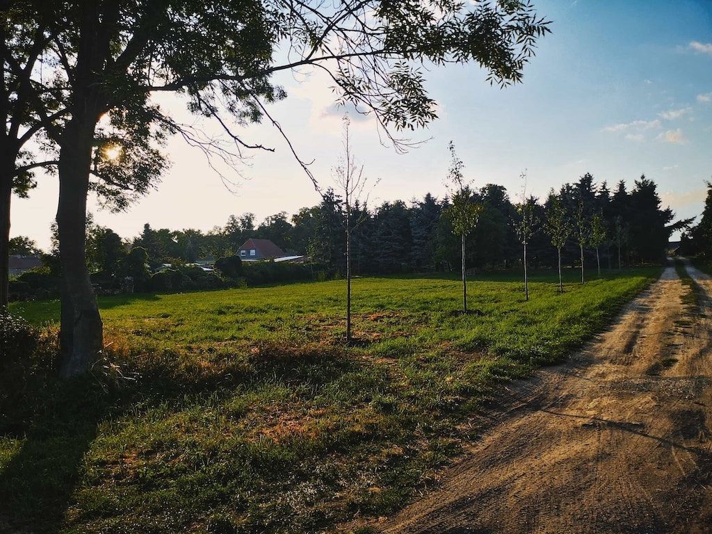 Wiese am Havelacker